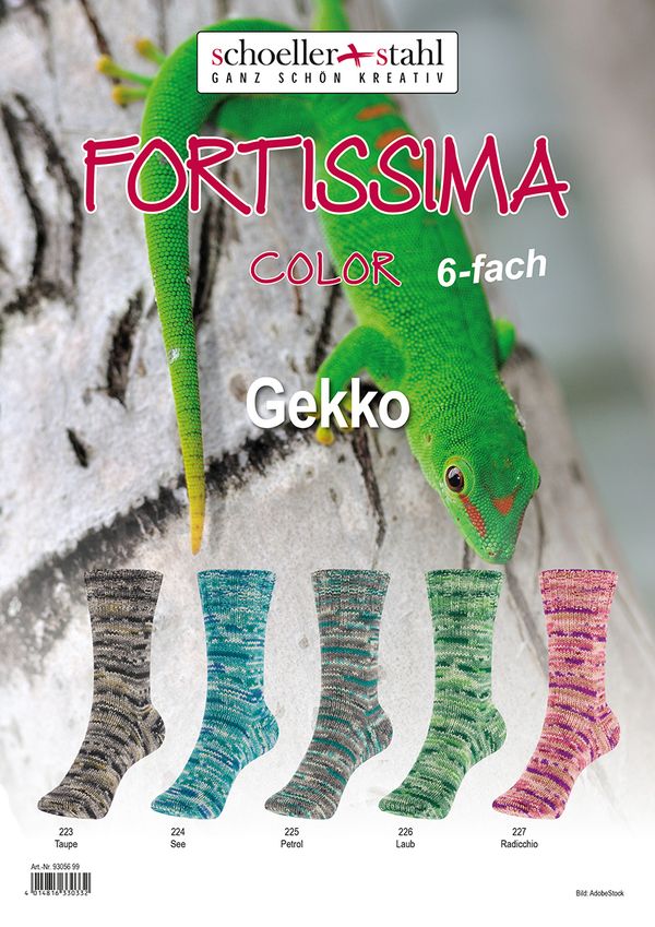 Пряжа Austermann (Аустерманн) Fortissima 6-fach Gekko / 5 цветов по 1.5 кг, мотки по 150 г, 410 м