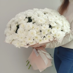 Букет из 25 кустовых белых хризантем сорта Алтай.