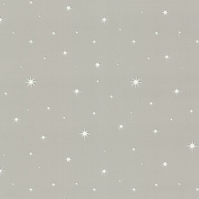 Обои 7393-02 Perseids/Персеиды Euro Decor