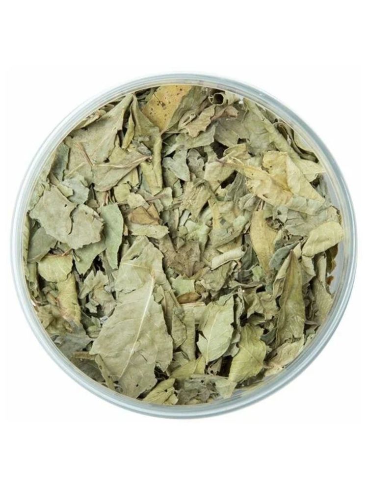 Bharat BAZAAR Листья карри Curry leaves 20 гр
