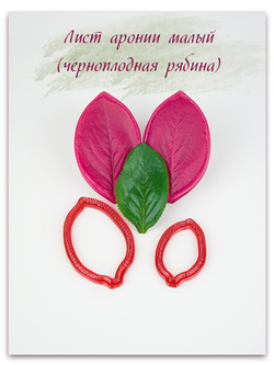 Лист аронии малый (черноплодная рябина)