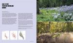 Naturalistic Planting Design. The essential guide