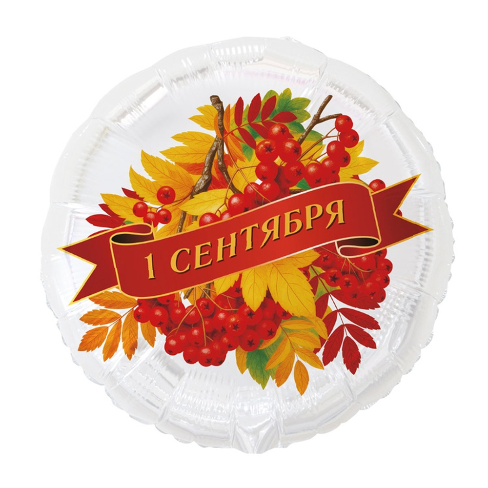 1 сентября, Рябина