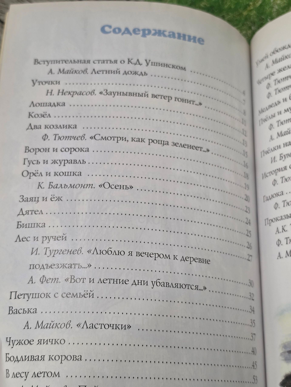 Книга "Родное слово"