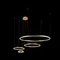 Подвесной светильник Ring 10017/4L Loft It