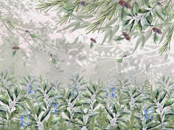 FOREST 1