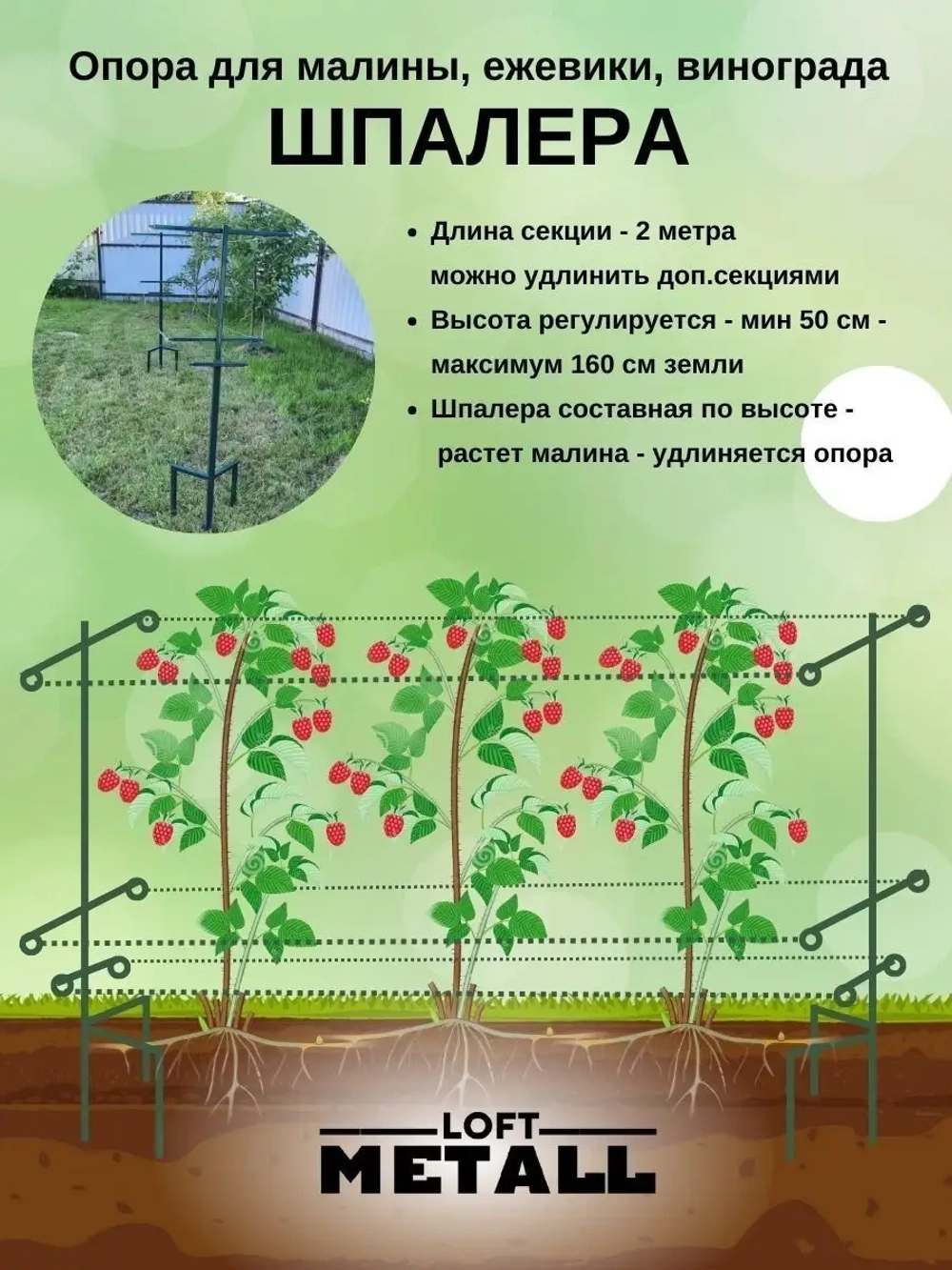 Шпалера для малины