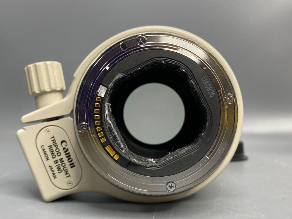 Canon EF 70-200mm f/2.8L USM