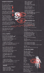 Foo Fighters / Your Favorite Toy (CD)