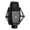 SE Electronics SE4100 LDC Black