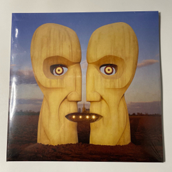 Виниловая пластинка LP Pink Floyd The Division Bell (Европейский Союз)