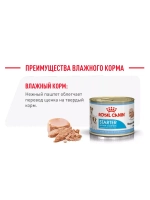 Royal Canin Starter Mousse Dog Can (Роял Канин Стартер Мусс) корм влажный (банки 12шт.)