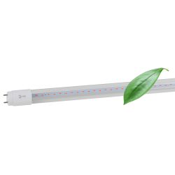 Фитолампа для растений светодиодная ЭРА FITO-18W-RB-Т8-G13-NL и мясных прилавков 18 Вт Т8 G13 красно-синего спектра | Фитолампы T8