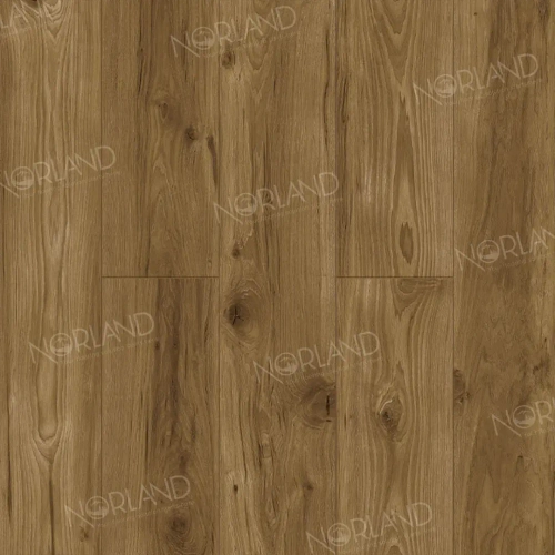 Ламинат Norland Elegant Strong Дуб Корсика LF302-18