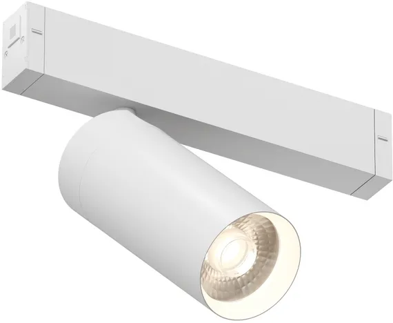 Трековый светильник SMART SPOT | СМАРТ СПОТ DK8020-WH Denkirs