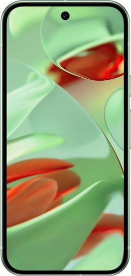 Смартфон Google Pixel 9 256 ГБ Зимний зеленый Wintergreen
