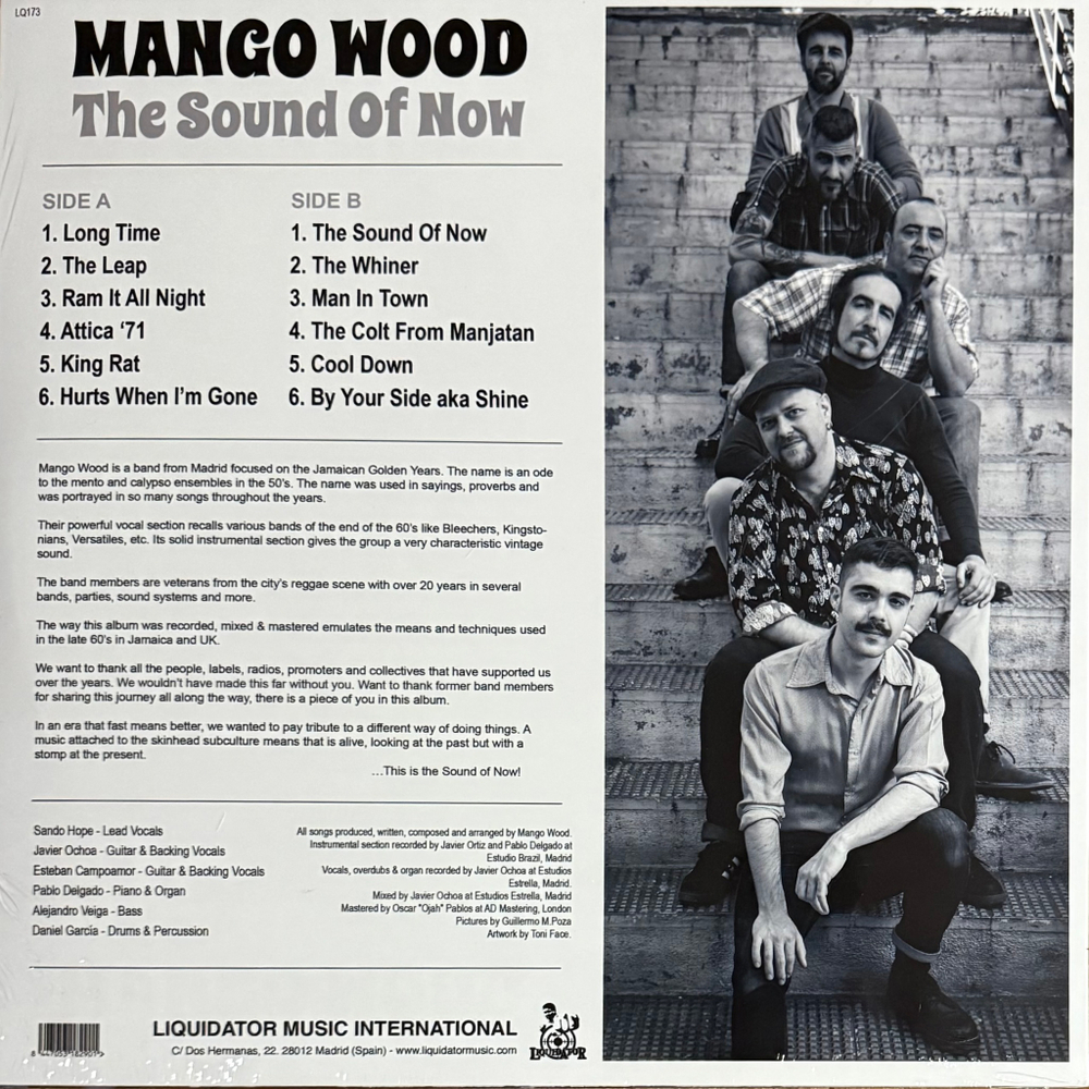 Mango Wood ‎– The Sound Of Now (Испания 2024г.)