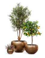 Кашпо TREEZ Effectory Metal Полусфера Тёмное матовое золото д-57 см, в-38 см 41.3318-04-016-BRS-57