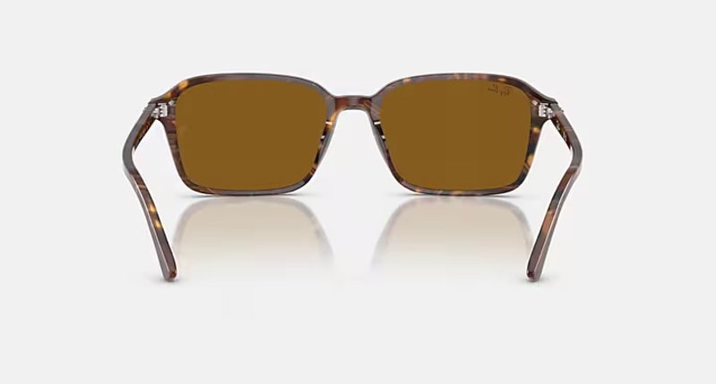 RAY-BAN RAIMOND RB2231 141833
