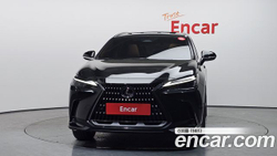 Lexus NX350h — 2024