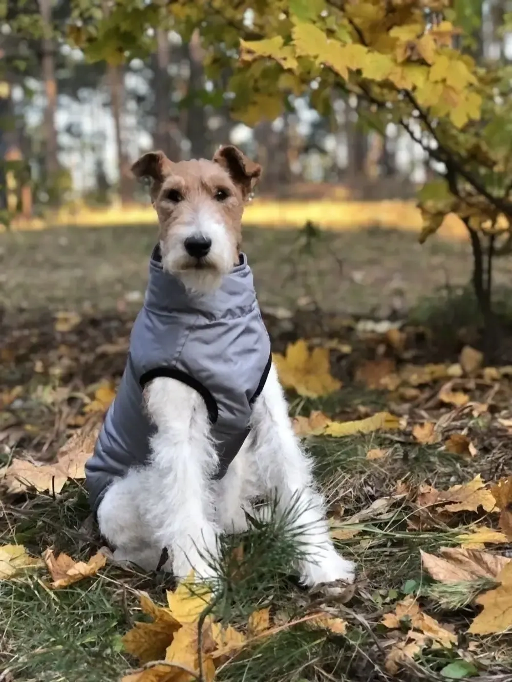 Жилет для собак мелких и средних пород зимний