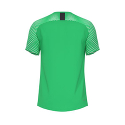 Футболка вратарская Evolution GK Jersey S/S — Light green spark