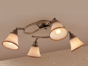 Спот CL511143 бронза старая Прованс Citilux