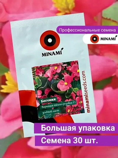 Бегония Вариация тёмно-розовая F1 зеленый лист