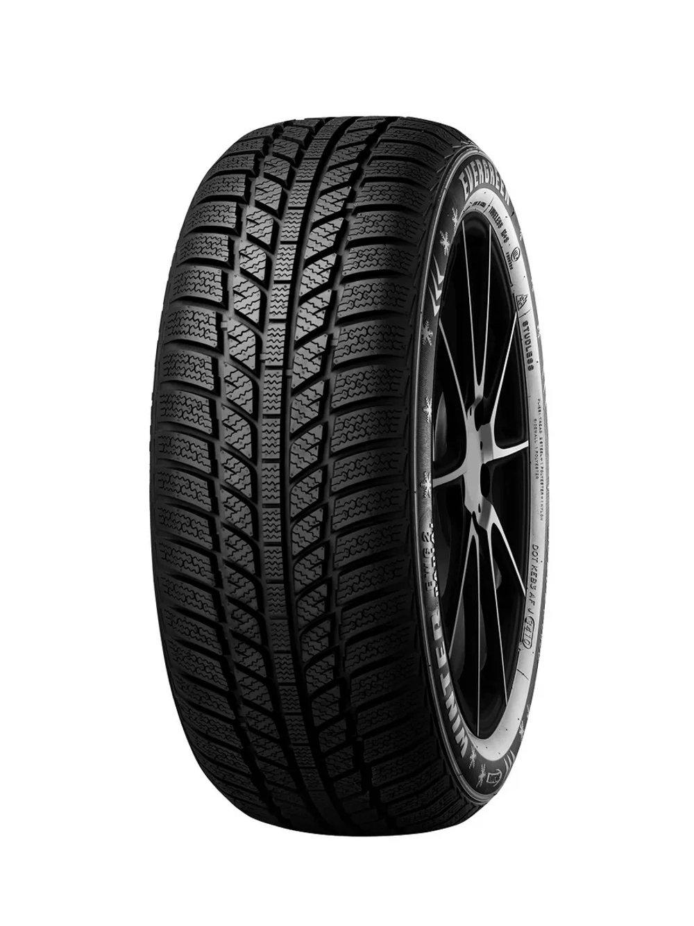 Зимняя шина Evergreen EW62 (175/70 R14 88T)