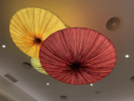 Wall design lamp Sahara Wall & Ceiling Light by Aqua Creations Studio