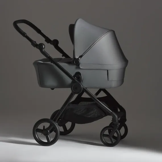 Коляска ANEX iQ 2 в 1 Loft