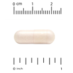 California Gold Nutrition, Boswellia Phytosome, фитосома босвеллии пильчатой с подсолнечным лецитином, 250 мг, 60 растительных капсул