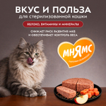 Влажный корм консервы для стерилизованных кошек Деликатес "Паштет по-норвежски" лосось с яблоком Мнямс 0,1кг 16 шт