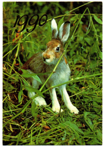 № 19 Набор Календариков 25 шт. Фауна, животные и птицы 1989-1993 гг.