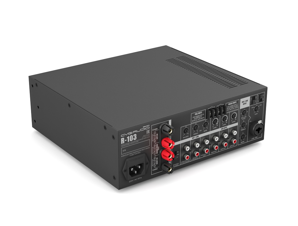 CVGAUDIO R-103 Усилитель 4-8ohm