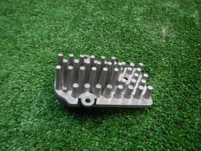 DSCN9542.JPG