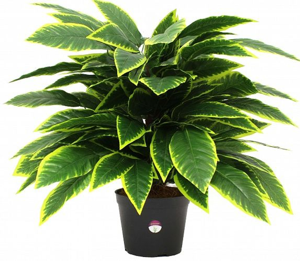 Растение искусственное Plant claims Croton lake 11374 в кашпо 65x70x70см