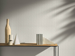 3D Wall Plaster
