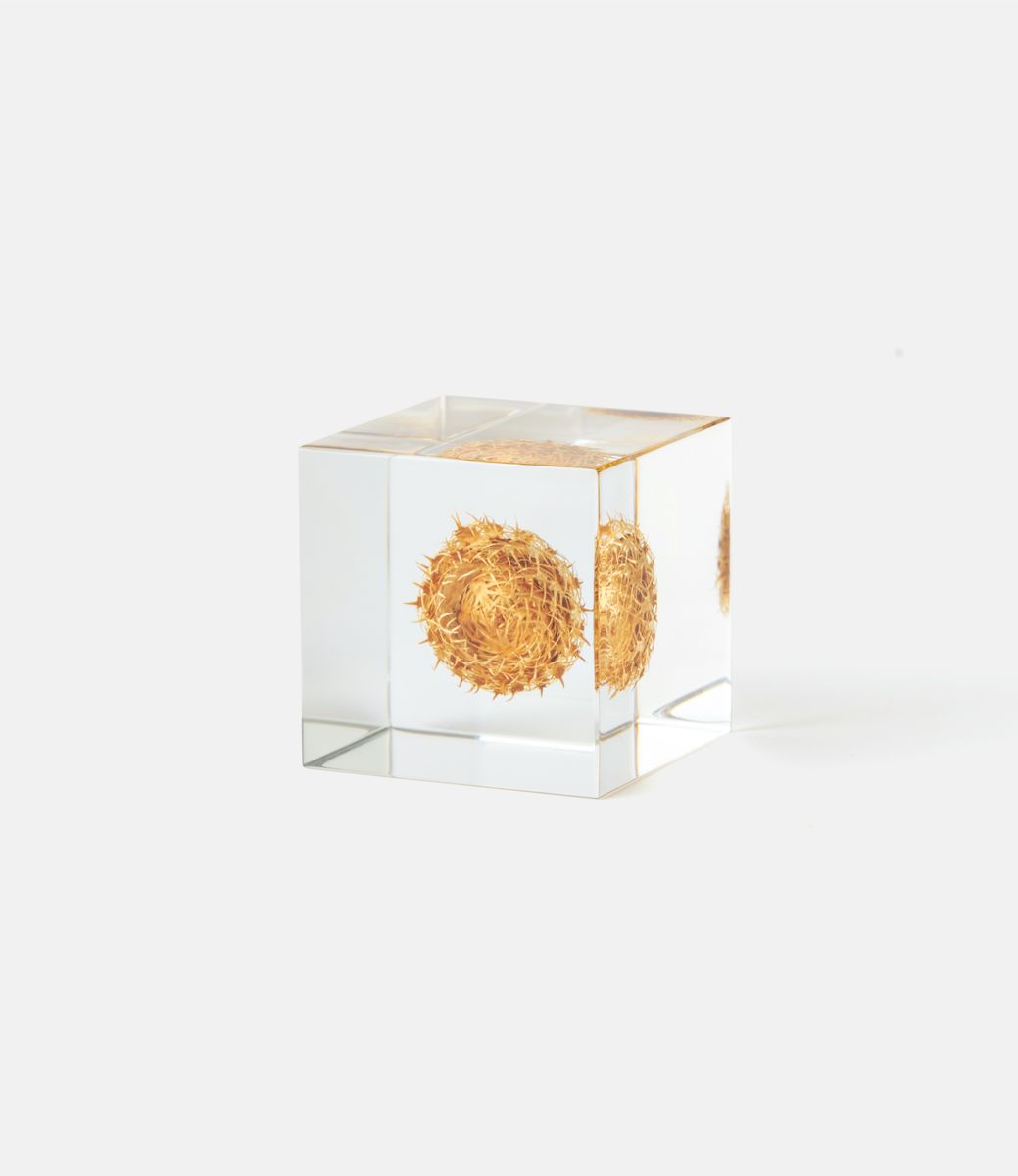 Sola Cube Basket Flower — куб из акриловой смолы
