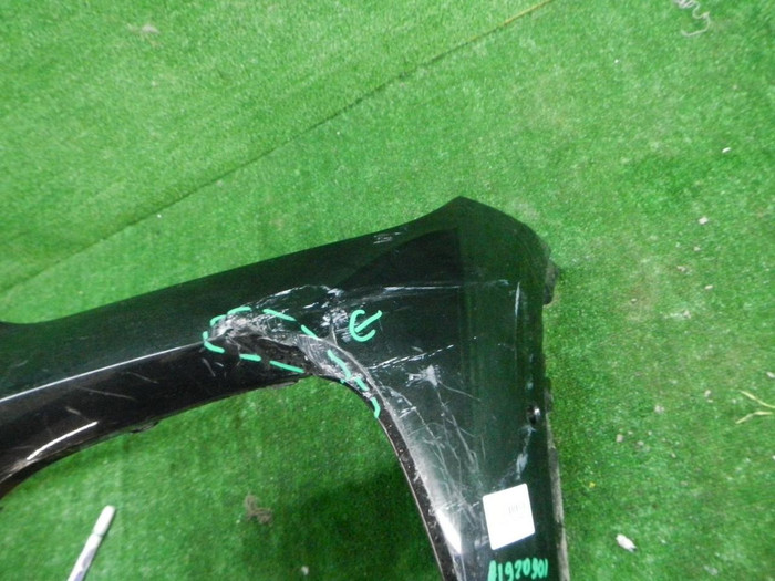 DSCN9534.JPG
