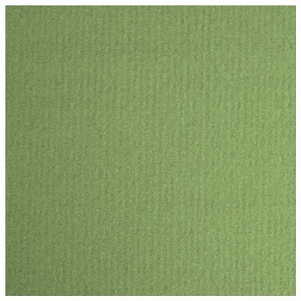 LANA Бумага для пастели «Lana Colours», 160 г/м², 21х29,7 см, 25 л, зеленый сок