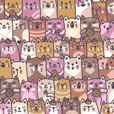 Котики