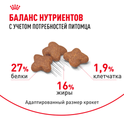Royal Canin Mini Adult Корм сухой для взрослых собак мелких размеров от 10 месяцев - 0,8 кг