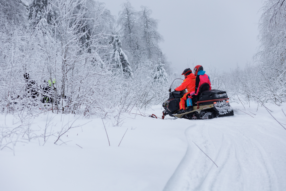 Снегоход AODES Snowcross 1000 WT 508mm LCD 10.25