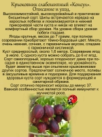 Крыжовник Консул бесшипный