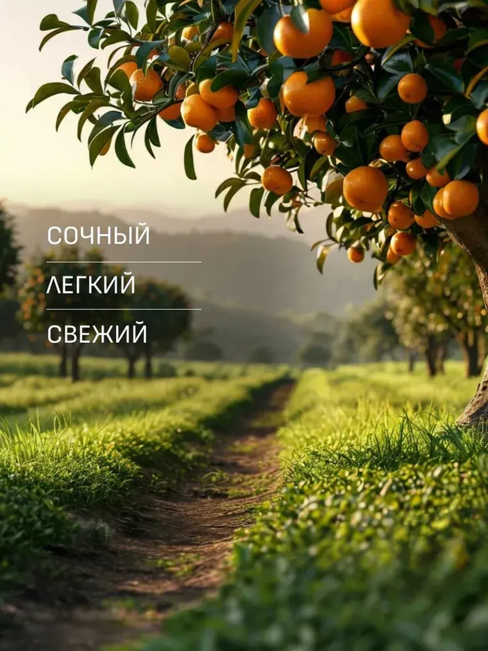 EOLITHIC Спреевый ароматизатор для текстиля FABRIC AROMA SPRAY №5 - Мандарин / Жасмин / Мускус 475мл
