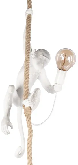Подвесной светильник Monkey 10314P Loft It