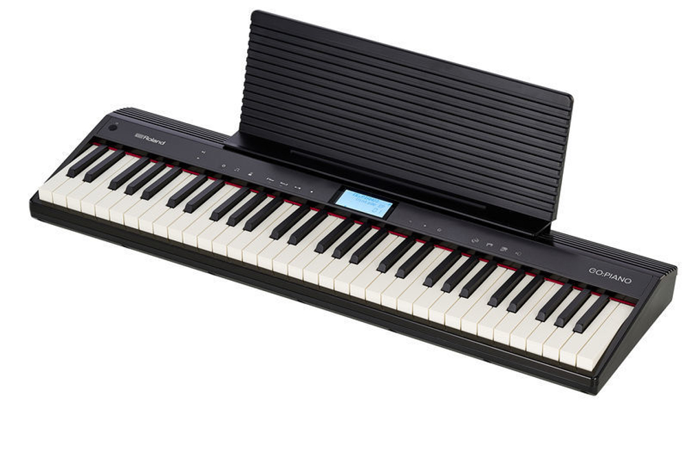 Roland GO-61P