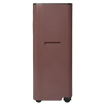 Напольный кондиционер Ballu Twinkle BPAC-09 DWB/N6 Red на 20 м²
